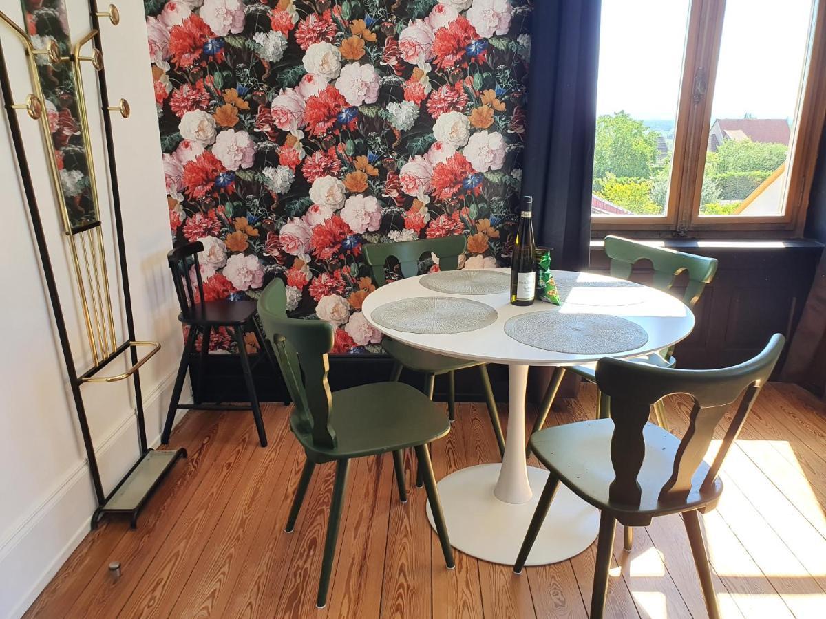 Sojolidays - Appartements D'Hotes Sur La Route Des Vins D'Alsace Rorschwihr Εξωτερικό φωτογραφία