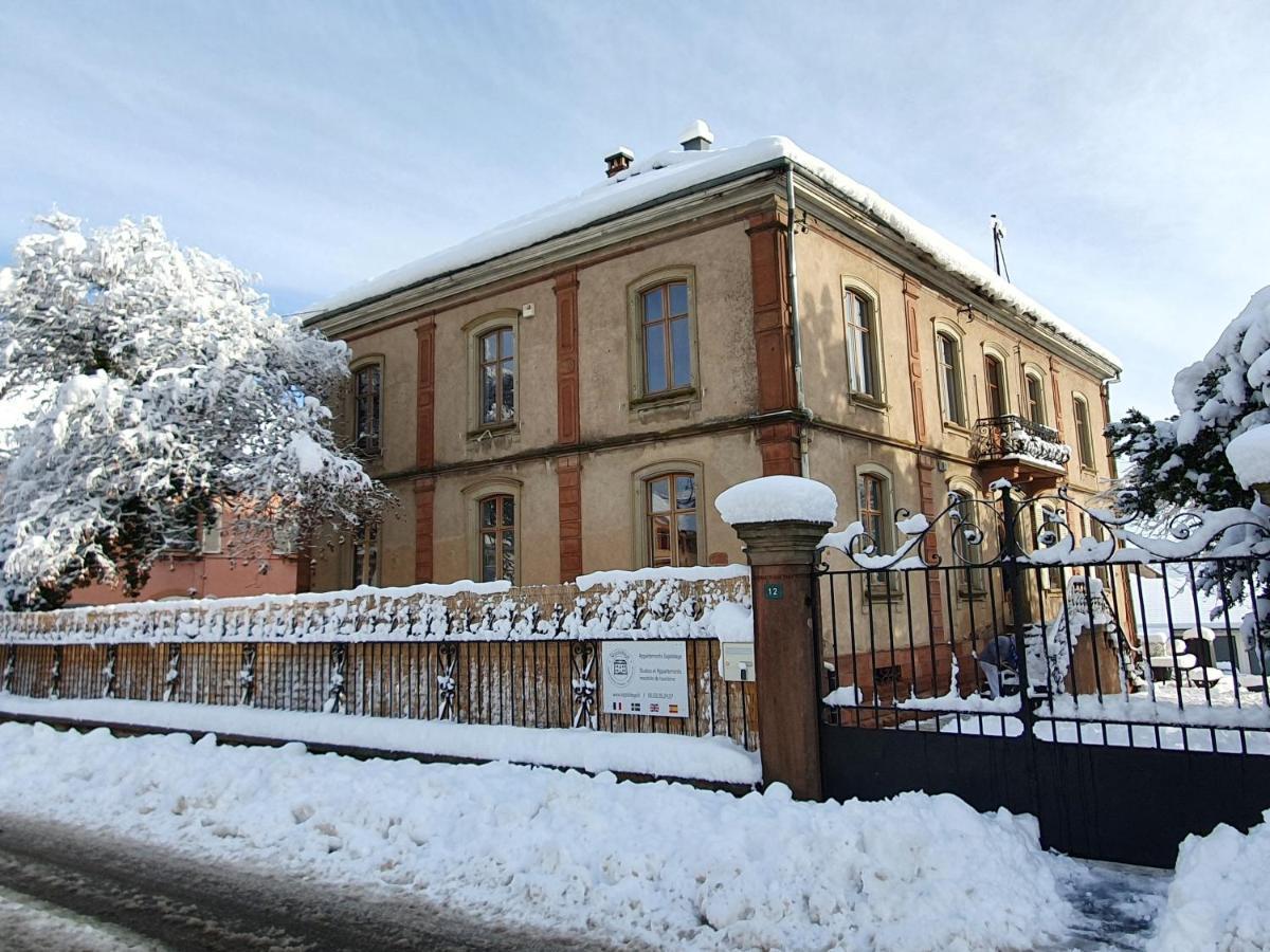 Sojolidays - Appartements D'Hotes Sur La Route Des Vins D'Alsace Rorschwihr Εξωτερικό φωτογραφία